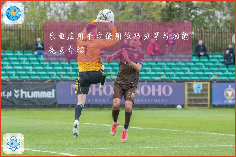 乐鱼应用平台使用技巧分享与功能亮点介绍