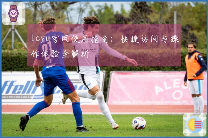 leyu官网使用指南：快捷访问与操作体验全解析
