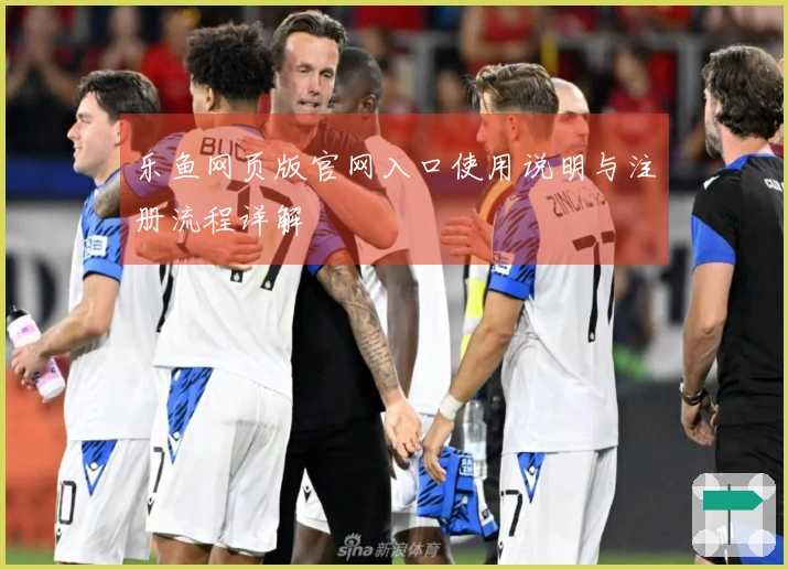 乐鱼网页版官网入口使用说明与注册流程详解