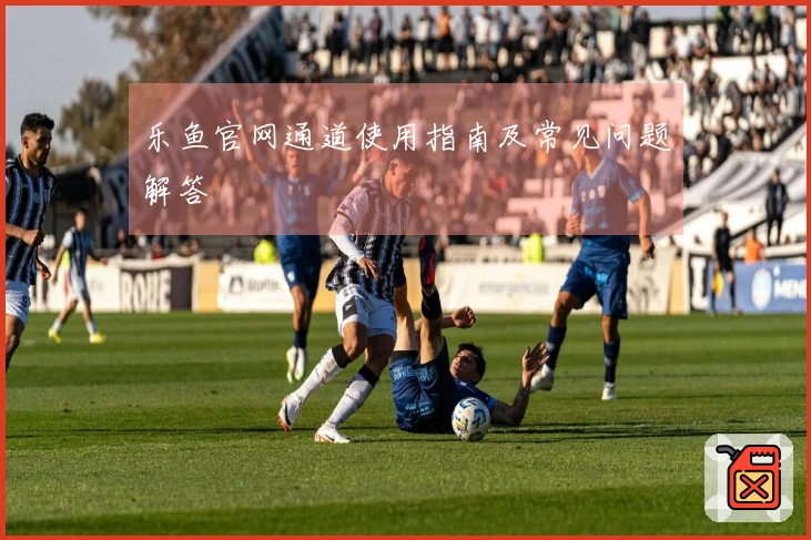 乐鱼官网通道使用指南及常见问题解答