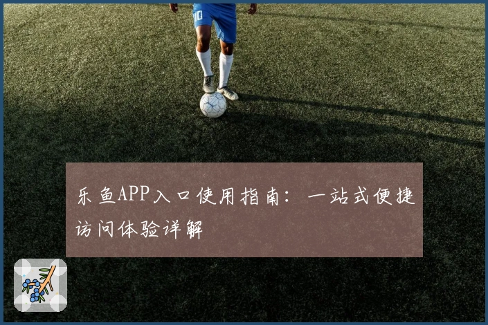 乐鱼APP入口使用指南：一站式便捷访问体验详解