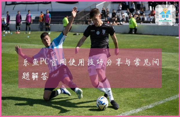 乐鱼PC官网使用技巧分享与常见问题解答