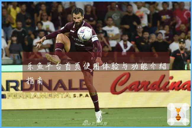 乐鱼平台首页使用体验与功能介绍指南